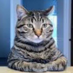 Meet your Posher, Margaret